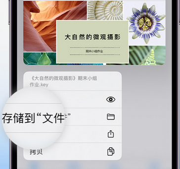 浠水apple维修中心分享iPhone文件应用中存储和找到下载文件