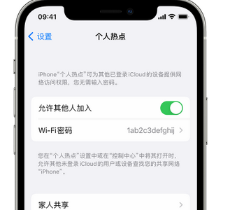 浠水apple服务站点分享iPhone上个人热点丢失了怎么办