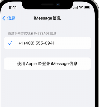 浠水apple维修iPhone上无法正常发送iMessage信息 