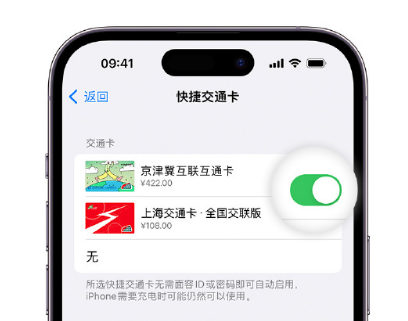 浠水apple维修点分享iPhone上更换Apple Pay快捷交通卡手绘卡面 