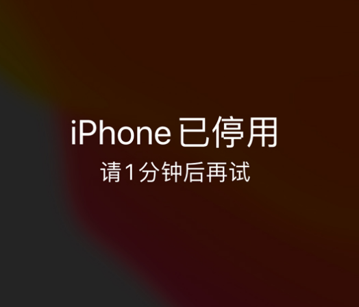 浠水苹果手机维修分享:iPhone 显示“不可用”或“已停用”怎么办？还能保留数据吗？ 