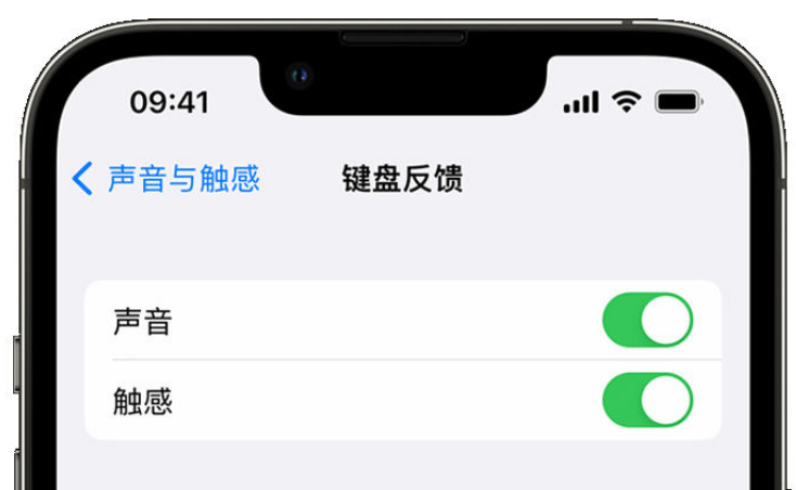 浠水苹果手机维修分享iPhone 14触感键盘使用方法 