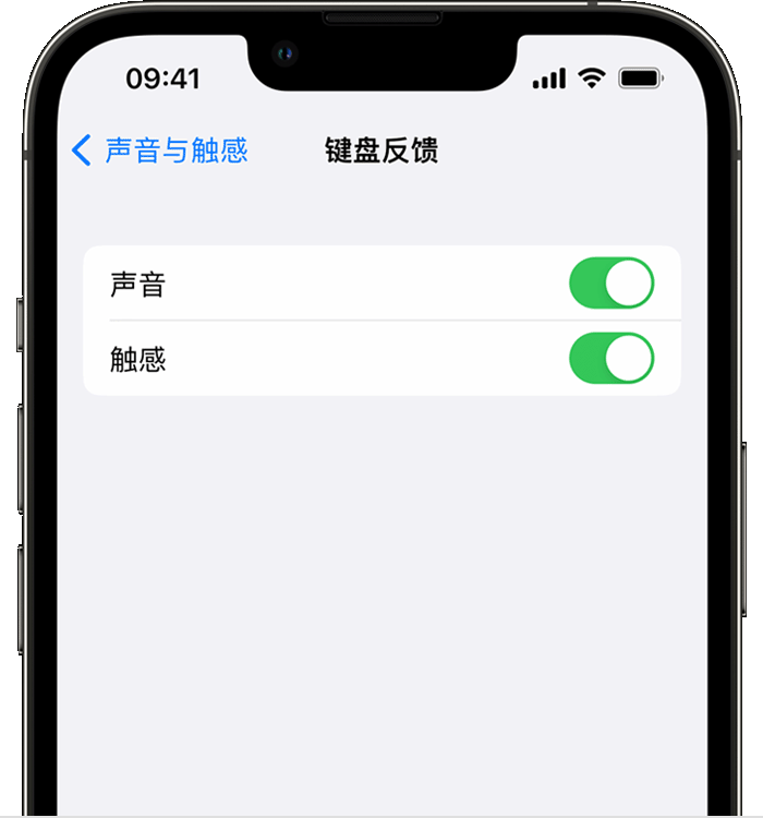 浠水苹果14维修店分享如何在 iPhone 14 机型中使用触感键盘 