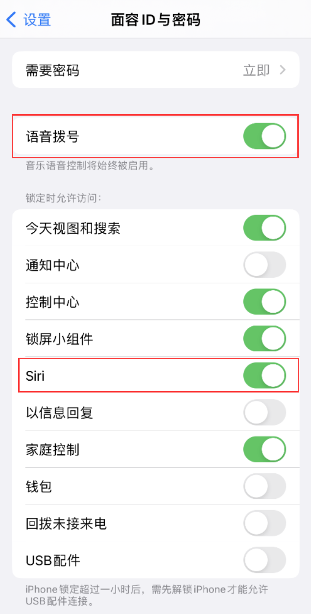 浠水苹果维修网点分享不解锁 iPhone 的情况下通过 Siri 拨打电话的方法 