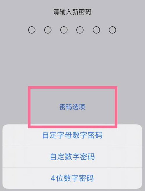 浠水苹果14维修分享iPhone 14plus设置密码的方法 