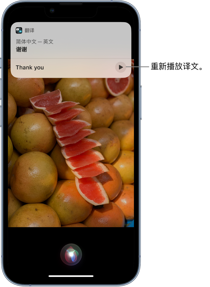 浠水苹果14维修分享 iPhone 14 机型中使用 Siri：了解 Siri 能帮你做什么 