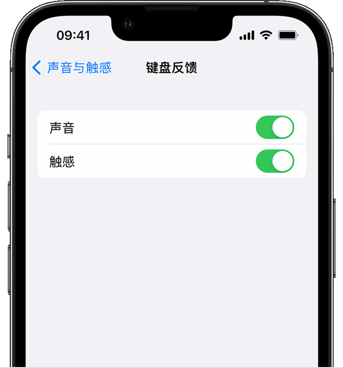 浠水苹果14维修分享iPhone 14 系列机型如何开启键盘声音或触感反馈 