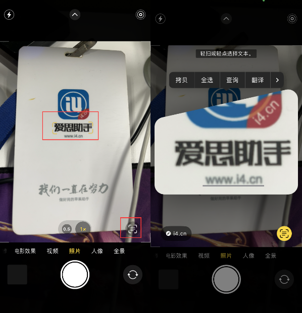 浠水苹果手机维修分享升级iOS 16后如何通过相机翻译文本 