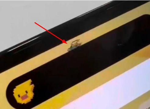 浠水苹果14维修分享iPhone 14 Pro Max灵动岛怎么养宠物 