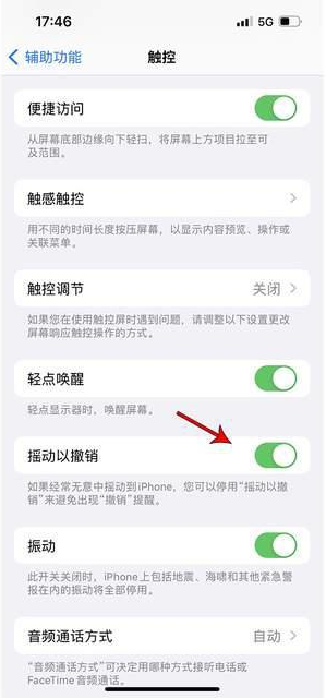 浠水苹果手机维修分享iPhone手机如何设置摇一摇删除文字 