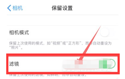 浠水苹果13维修分享iPhone13拍照有绿点是怎么回事 