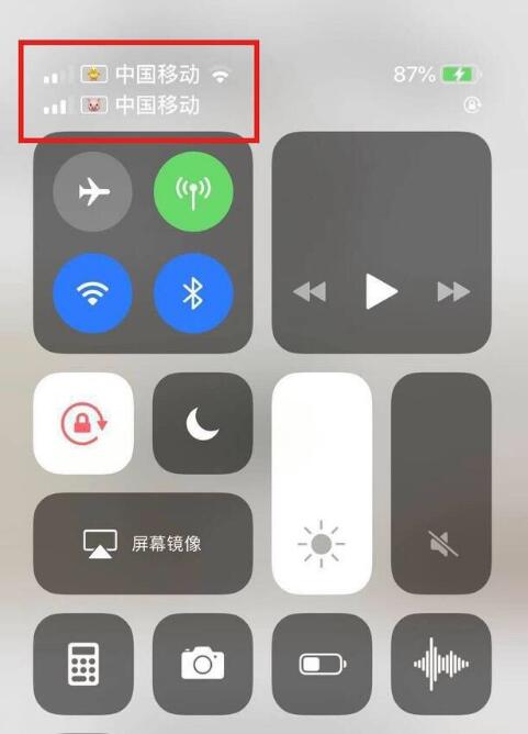浠水苹果手机维修分享为 iPhone 12 双卡设置标签 